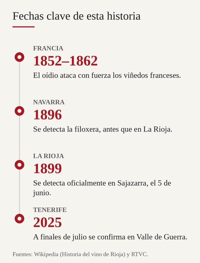 Línea del tiempo: oídio en Francia (1852–1862), filoxera en Navarra (1896), en La Rioja (1899) y en Tenerife (2025)